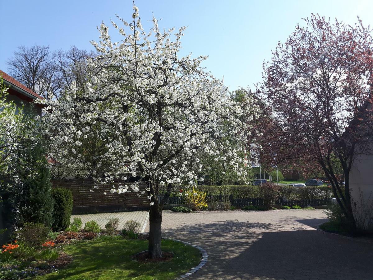Der Kirschbaumhof Daire Strullendorf Dış mekan fotoğraf